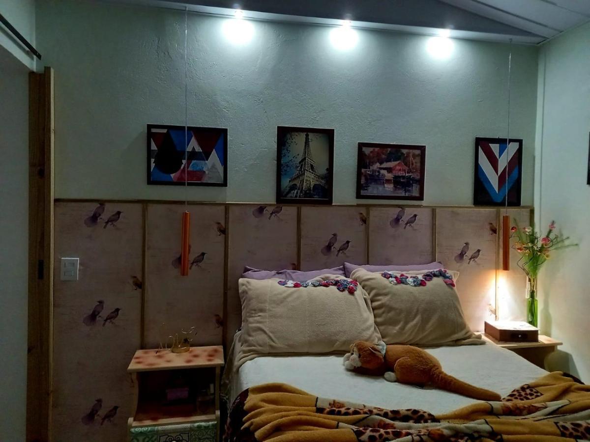 가로파바 Casa Perto Do Centro 빌라 외부 사진